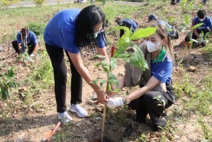 313403864_612013897378911_8979091248744820249_n